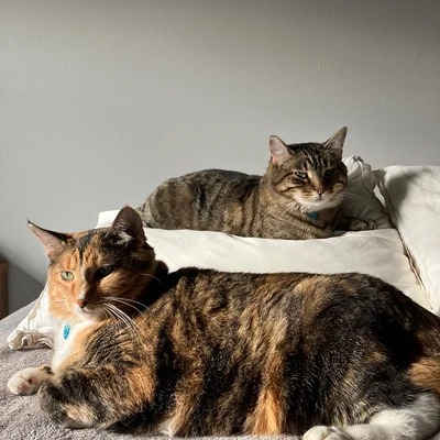 Xena & Sophie